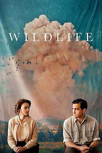 مشاهدة فيلم Wildlife 2018 مترجم مشاهدة فيلم Wildlife 2018 مترجم