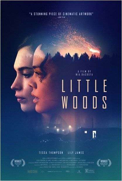 مشاهدة فيلم Little Woods 2018 مترجم مشاهدة فيلم Little Woods 2018 مترجم