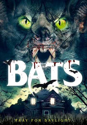 Bats Bats
