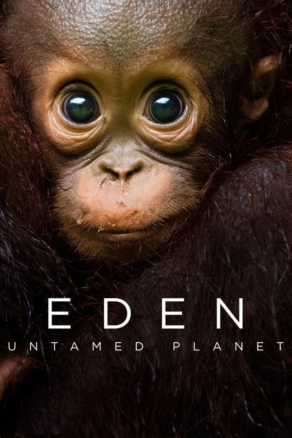 Eden: Untamed Planet الموسم 1 الحلقة 6 Eden: Untamed Planet الموسم 1 الحلقة 6