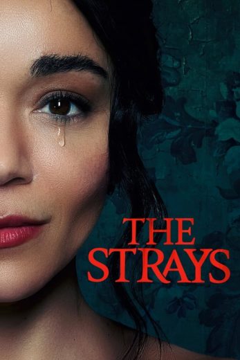 The Strays The Strays